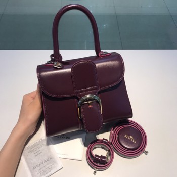 델보 브리앙 박스백 미니