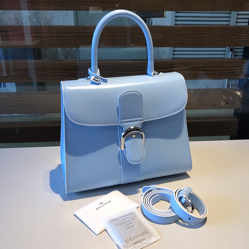 델보 브리앙 박스백 미듐