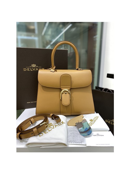 델보 브리앙 박스백 미듐