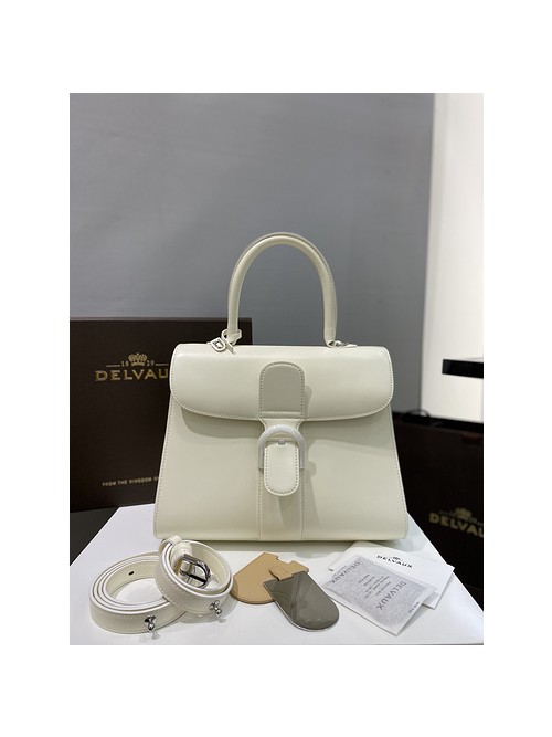 델보 브리앙 박스백 미듐