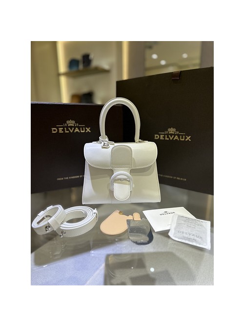 델보 브리앙 박스백 미니