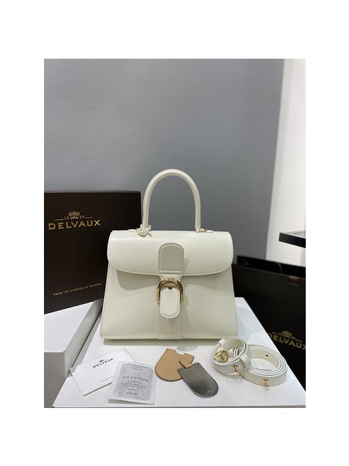 델보 브리앙 박스백 미듐