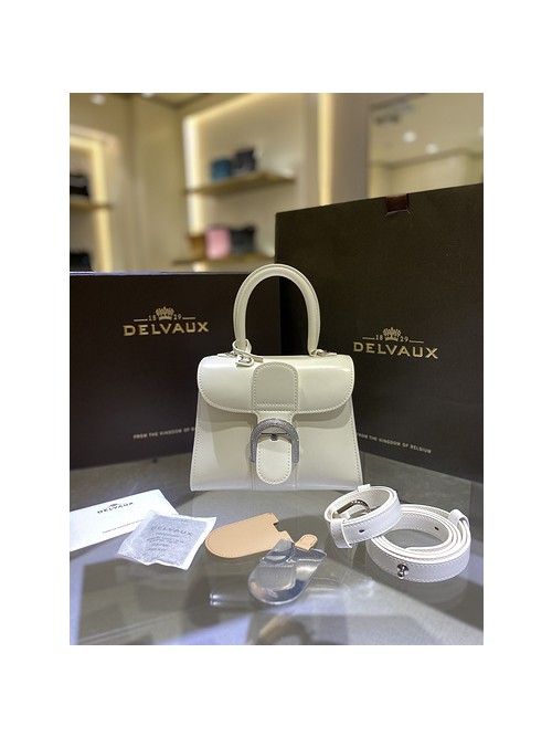 델보 브리앙 박스백 미니