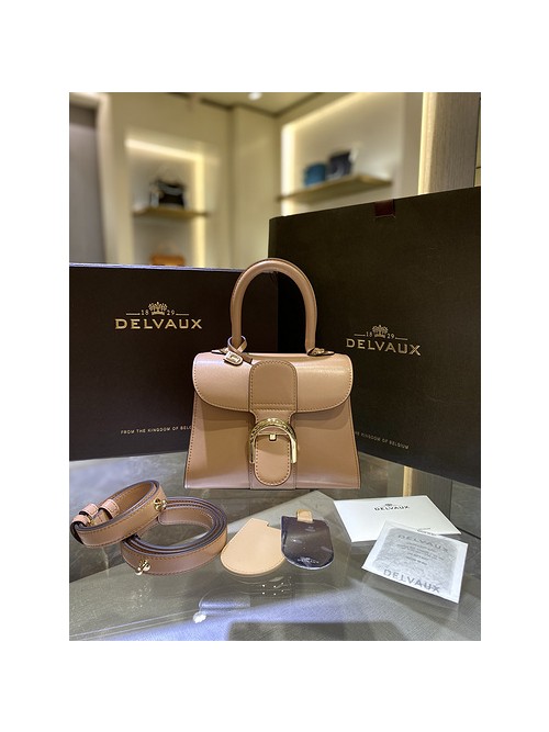 델보 브리앙 박스백 미니