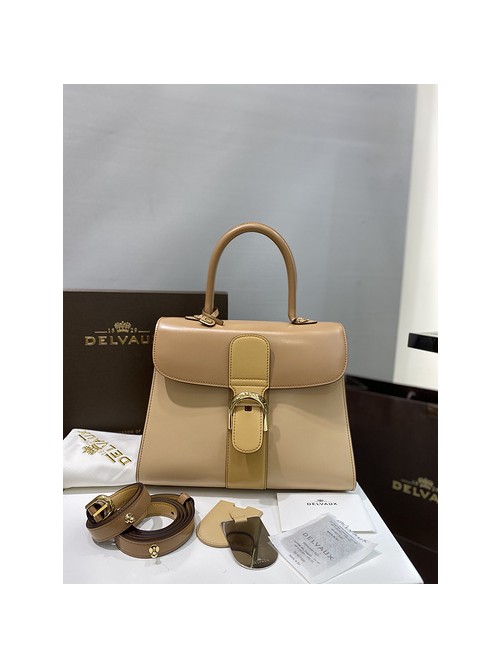 델보 브리앙 박스백 미듐