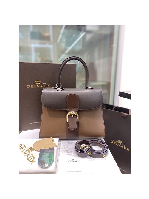 델보 브리앙 박스백 미듐